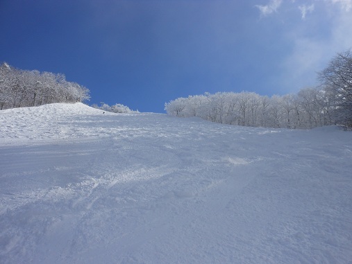 スキー　2013.1.4.jpg